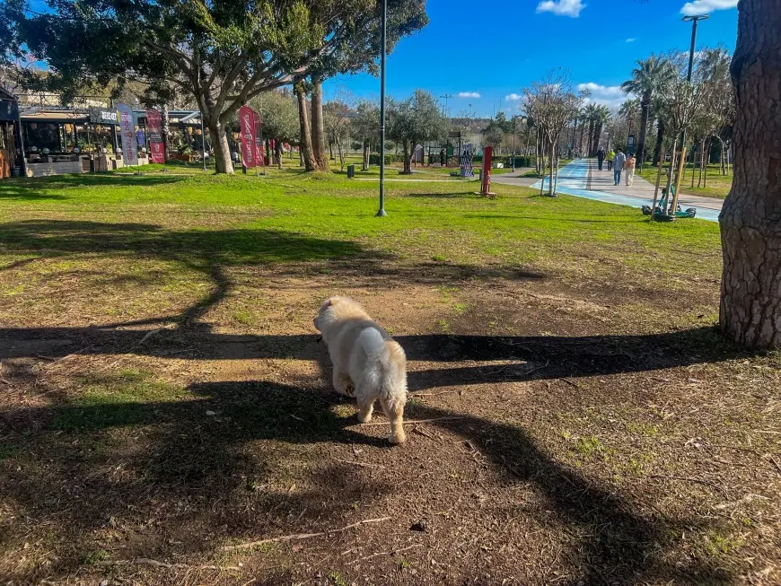 A Truly Peaceful Beach Experience