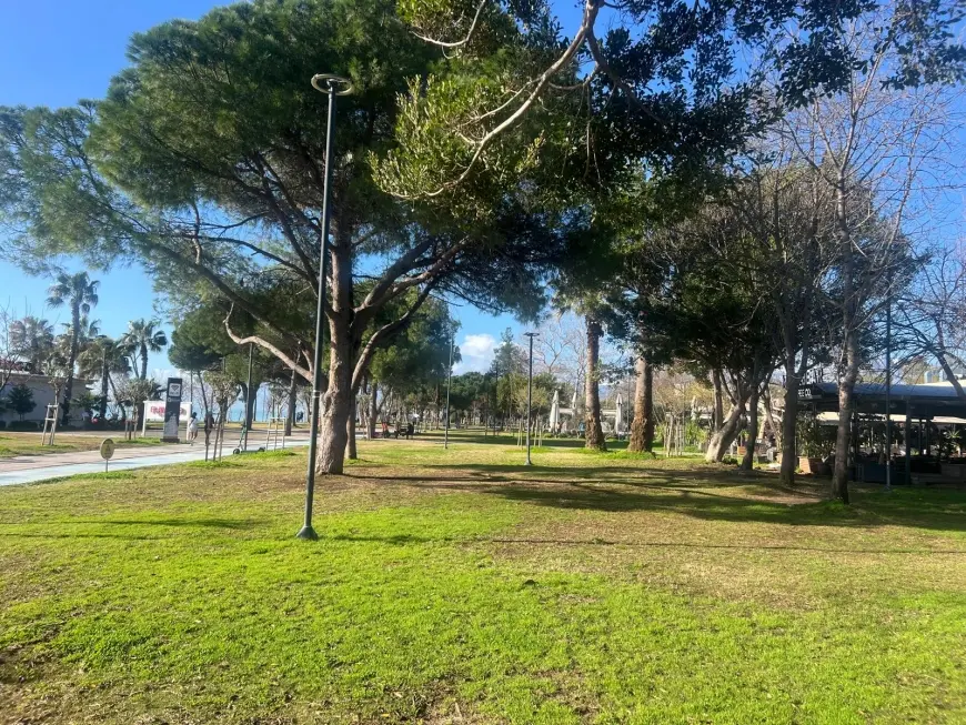 Picnic or Café Enjoyment