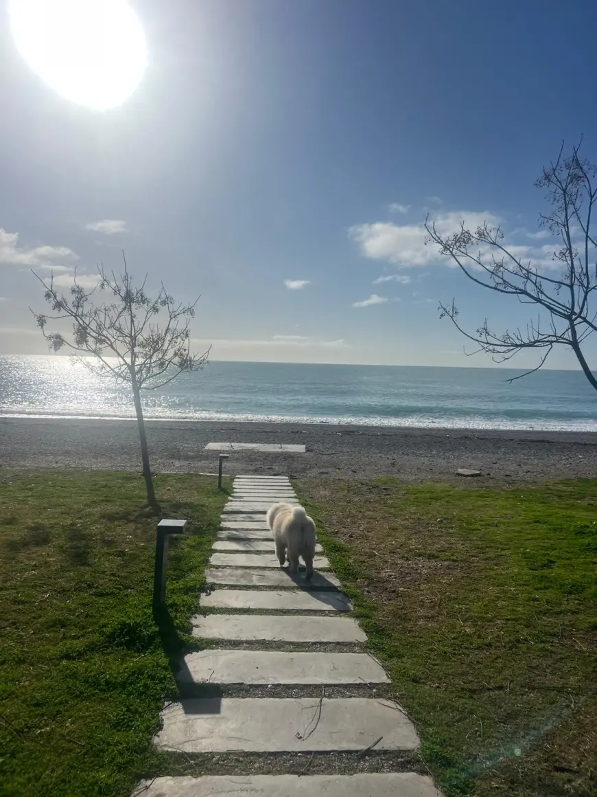 When Should You Go in Winter?