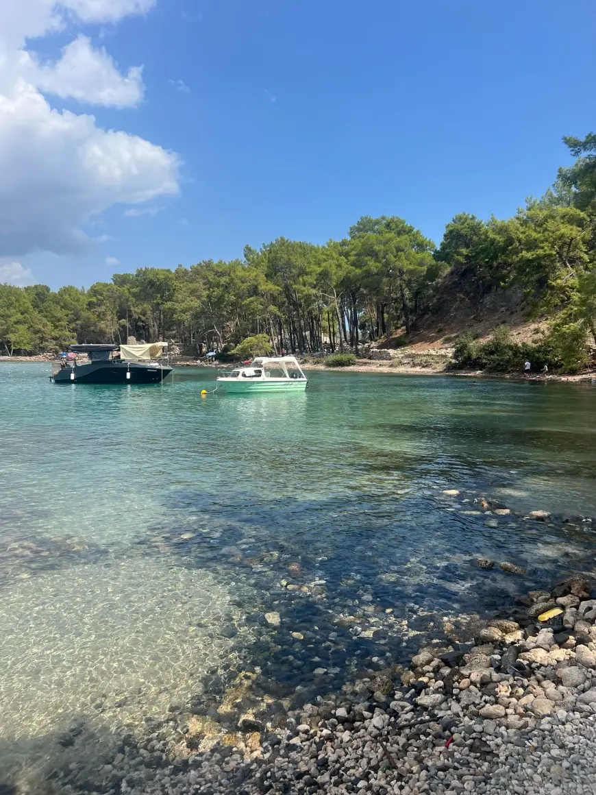 Üç Koyu Var